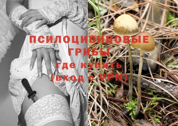 a pvp Белокуриха