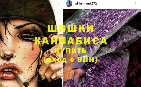 a pvp Белокуриха