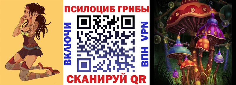 Псилоцибиновые грибы Cubensis  Бузулук 