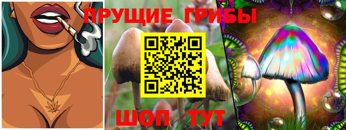 Галлюциногенные грибы мицелий  Вход с VPN  Бузулук 